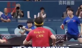 体育界饭圈文化,激情与理性的交织