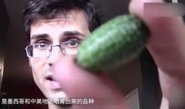 网络大瓜 吃料,揭秘娱乐圈幕后真相，吃料狂欢来袭！